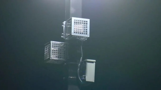 Thiết bị phát tiếng ồn được lắp bên ngoài chi nhánh Home Depot ở Los Angeles. Ảnh: Fox