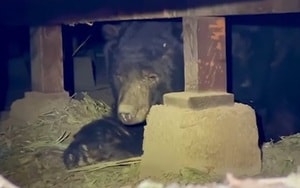 Các hiện tượng tự nhiên kỳ lạ liên tiếp xuất hiện ở nhiều quốc gia - Ảnh 4.