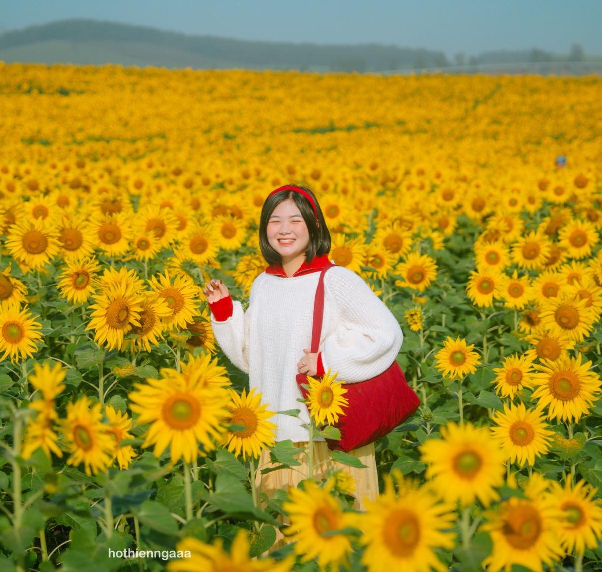 Cánh đồng hoa hướng dương ở Nghệ An cách Hà Nội 250km , điểm check - in lý tưởng - Ảnh 5. Cánh đồng hoa hướng dương ở Nghệ An cách Hà Nội 250km , điểm check - in lý tưởng - Ảnh 5.