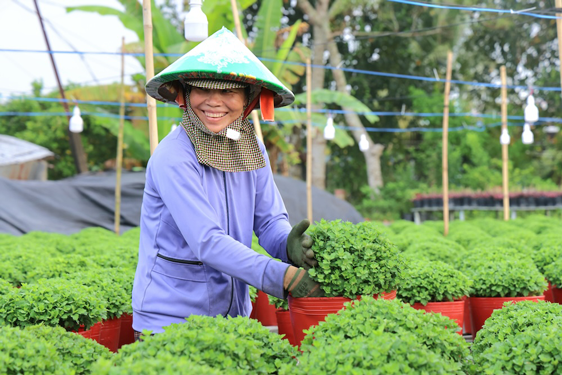 Tôn vinh nghề trồng hoa - kiểng - Ảnh 1.