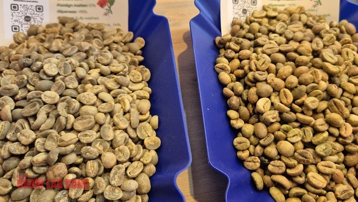 Giá cà phê hôm nay 23 - 12 tăng mạnh với mức kỷ lục mới - Ảnh 2.