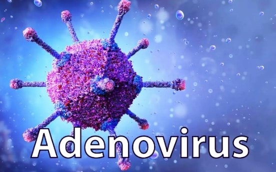 adenovirus.jpg