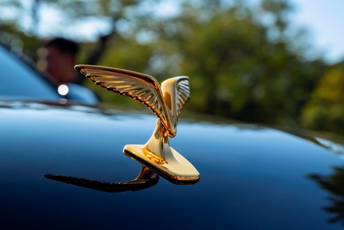 Logo mạ vàng đặt nổi ở phần đầu xe, mang hình tượng chim Lạc sải cánh. Ảnh: Tuấn Vũ