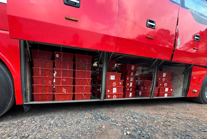 Gần một tấn rắn bỏ dưới gầm xe khách. Ảnh: Khôi Trần