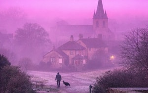 20 loài mới được phát hiện - Ảnh 5.