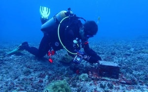 Sinh vật biển sâu khổng lồ "đáng sợ mà kỳ diệu" tái xuất - Ảnh 3.