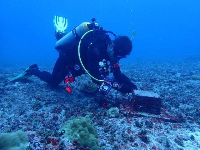 20 loài mới được phát hiện - Ảnh 2. 20 loài mới được phát hiện - Ảnh 2.