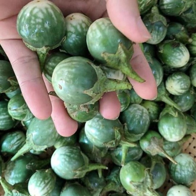 Loại quả mọc dại có vị đắng đặc trưng nay thành đặc sản, đặc biệt ngon khi nấu cùng thịt ba chỉ - Ảnh 3.