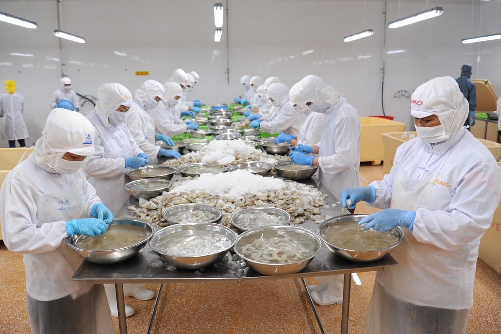 Nhiều hoạt động thiết thực trong công tác ATVSLĐ năm 2025 ở Cà Mau - 1