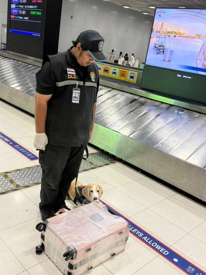 Chó nghiệp vụ ngửi vali nghi có dấu hiệu đáng ngờ ở sân bay Suvarnabhumi. Ảnh: Kapook