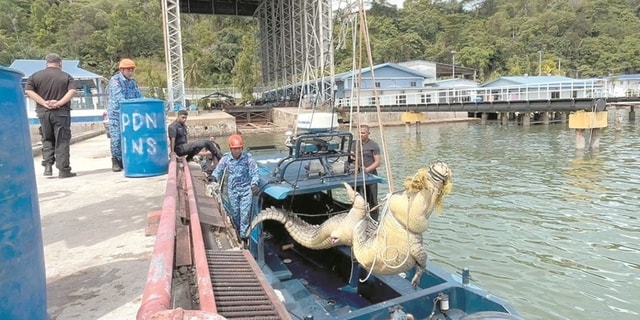 Người dân bắt được cá sấu khổng lồ dài 4 mét, nặng 500kg - Ảnh 2.