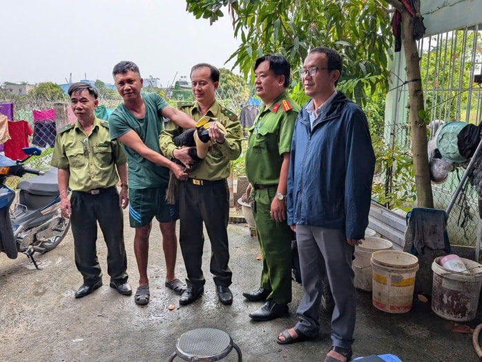 Quy trình xử lý đối với chim quý hiếm người dân giao nộp ra sao? - Ảnh 1.