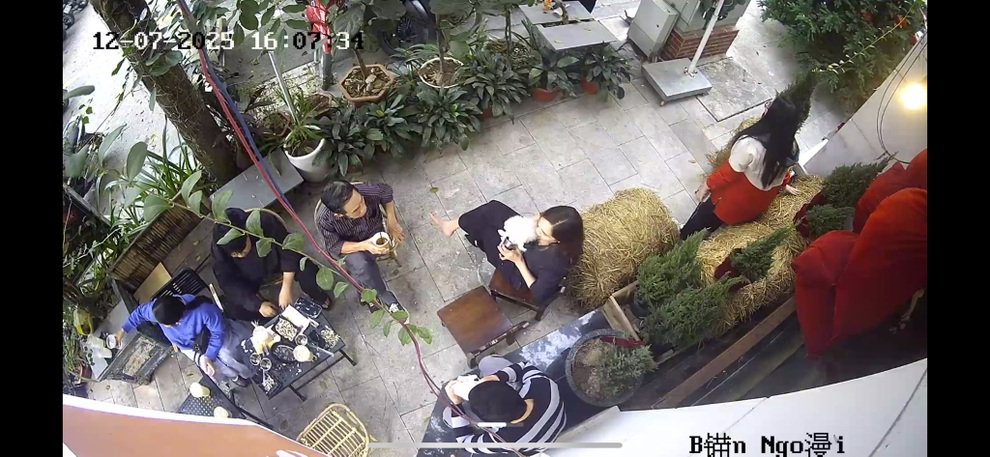 Nhà hàng cho phép chó cưng của khách dùng bữa ở bàn ăn gây tranh cãi - 2