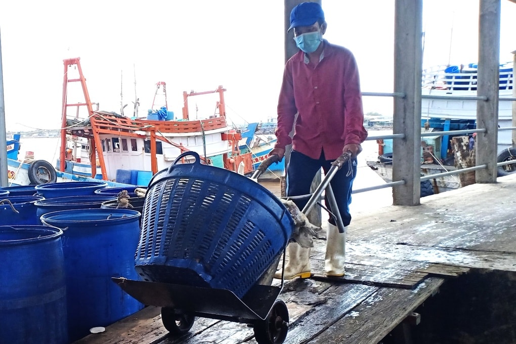 Tiếp tục triển khai công tác về ATVSLĐ, bảo hiểm TNLĐ một cách hiệu quả - 1