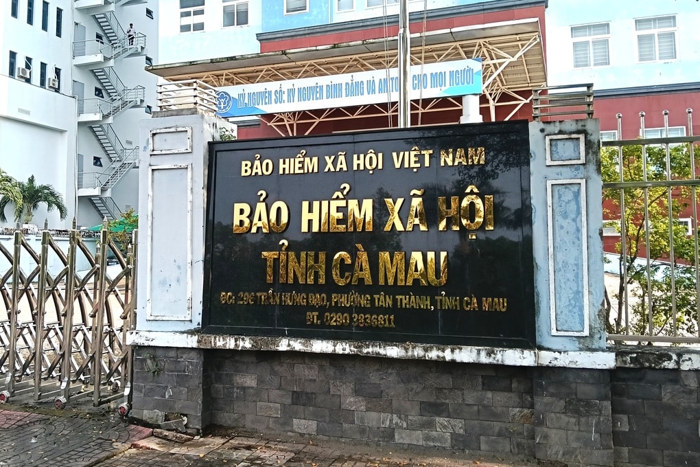 Tiếp tục triển khai công tác về ATVSLĐ, bảo hiểm TNLĐ một cách hiệu quả - 3