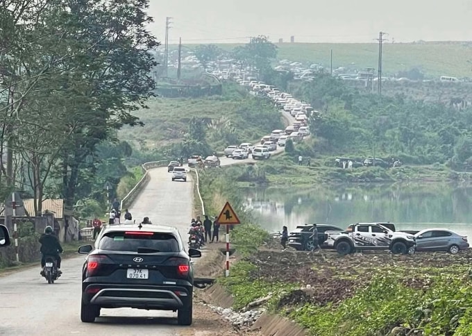 Đoàn xe vào cánh đồng hoa hướng dương cuối tuần 21/12. Ảnh: Diễn Châu Group