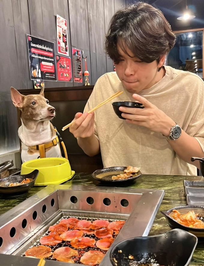 Thực khách dùng bữa cùng chó cưng tại nhà hàng Ko-Ya. Ảnh: Ko-Ya