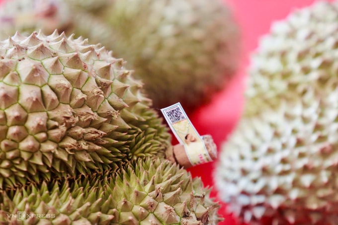 Mã QR code trên quả sầu riêng. Ảnh: Gia Chính