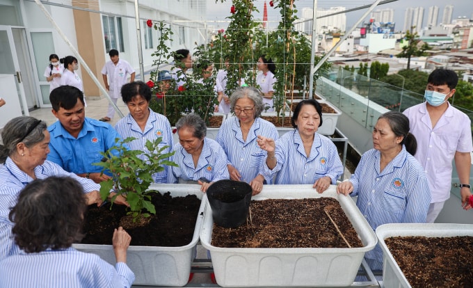 Người cao tuổi tham gia dịch vụ dưỡng lão bán trú tại Bệnh viện Phục hồi chức năng - Điều trị bệnh nghề nghiệp TP HCM. Ảnh: Quỳnh Trần