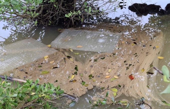 Váng dầu diesel nổi trên sông, các lực lượng dùng giấy thấm để hút. Ảnh: Ngọc Bình