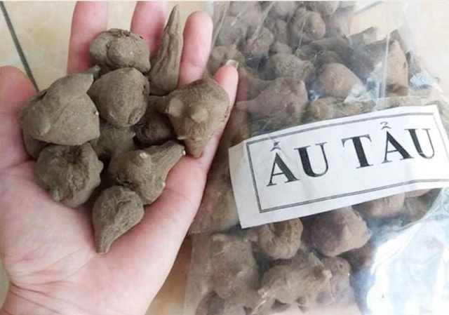 Sau bát canh "quen thuộc", bệnh nhân rơi vào tình trạng ngộ độc nguy hiểm - Ảnh 1.