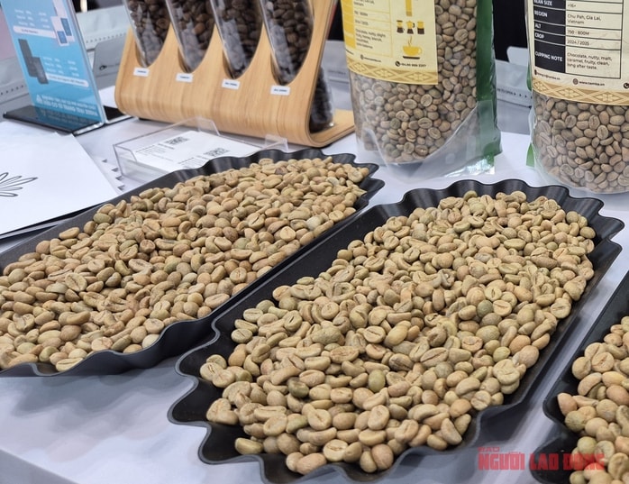 Giá cà phê hôm nay 26-12: Trong nước tăng nóng, Trung Quốc tăng mua mạnh mẽ - Ảnh 1.