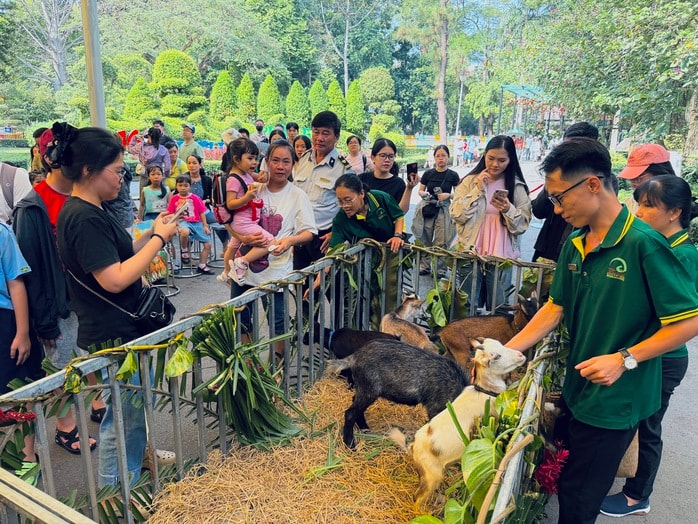 - Ảnh 3. - Ảnh 3.