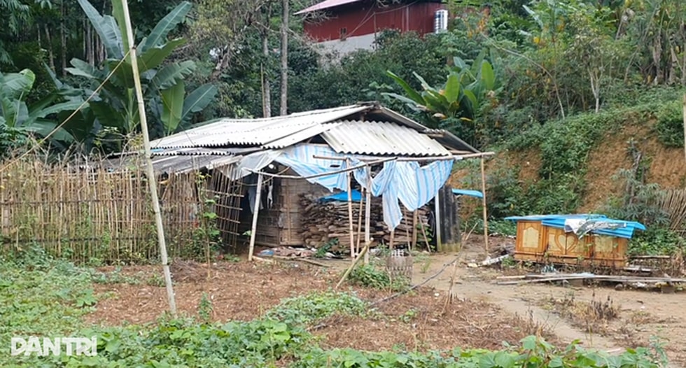 Niềm vui an cư của người nghèo giữa núi rừng Điện Biên - 7