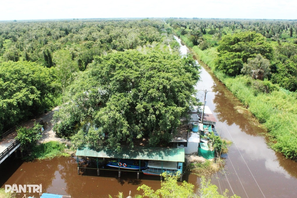 Hơn 1.458 tỷ đồng phát triển du lịch sinh thái, nghỉ dưỡng ở U Minh Hạ - 1