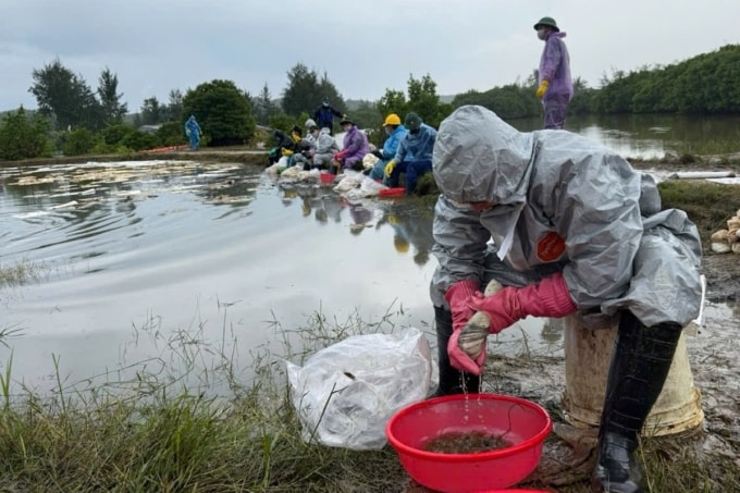 Ở những khu vực ván dầu nổi trên mặt nước, các lực lượng dùng giấy thấm hút dầu. Ảnh: Thạch Thảo
