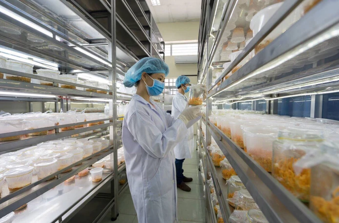 Vốn , công nghệ và con người trong sản xuất nông nghiệp hữu cơ tại Việt Nam - Ảnh 2. Vốn , công nghệ và con người trong sản xuất nông nghiệp hữu cơ tại Việt Nam - Ảnh 2.