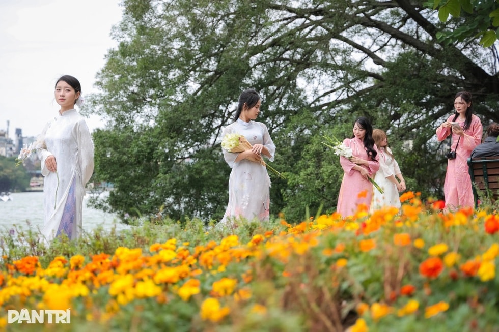 Người trẻ Hà Nội lên phố chụp ảnh gió mùa 1m2 cả chục nàng thơ - 1