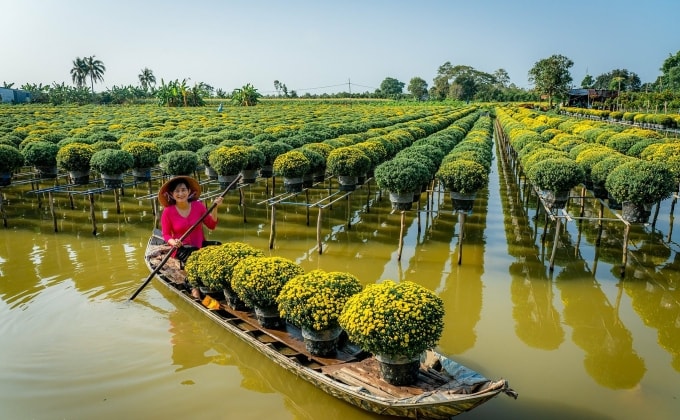 Du khách check in tại làng hoa Sa Đéc. Ảnh: Bùi Văn Hải