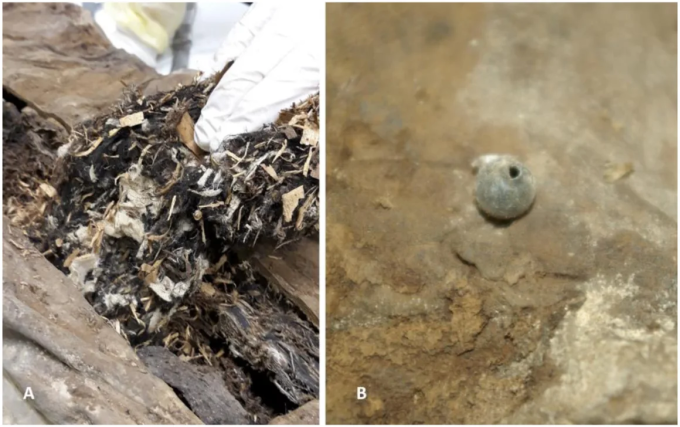 Một số vật liệu (trái) như vụn gỗ và vải lanh bên trong xác ướp giáo sĩ phơi khô, và một quả cầu thủy tinh nhỏ (phải) nằm trong xương chậu trái. Ảnh: Andreas Nerlich