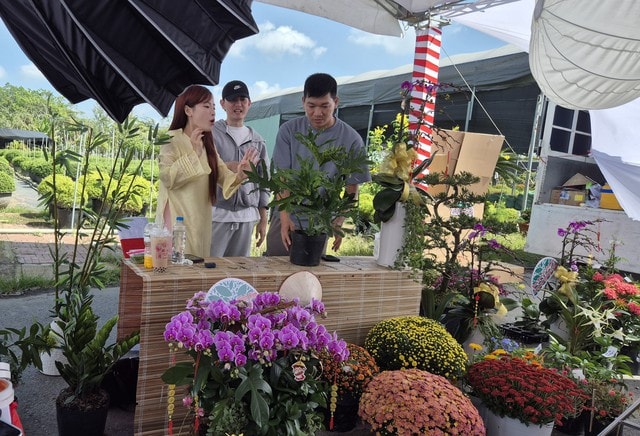 Vựa hoa miền Tây sớm bán hoa Tết qua livestream cùng người nổi tiếng - Ảnh 13.
