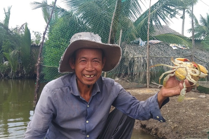 VIDEO: Cua gạch Cà Mau tăng 200.000 đồng/kg - Ảnh 1.