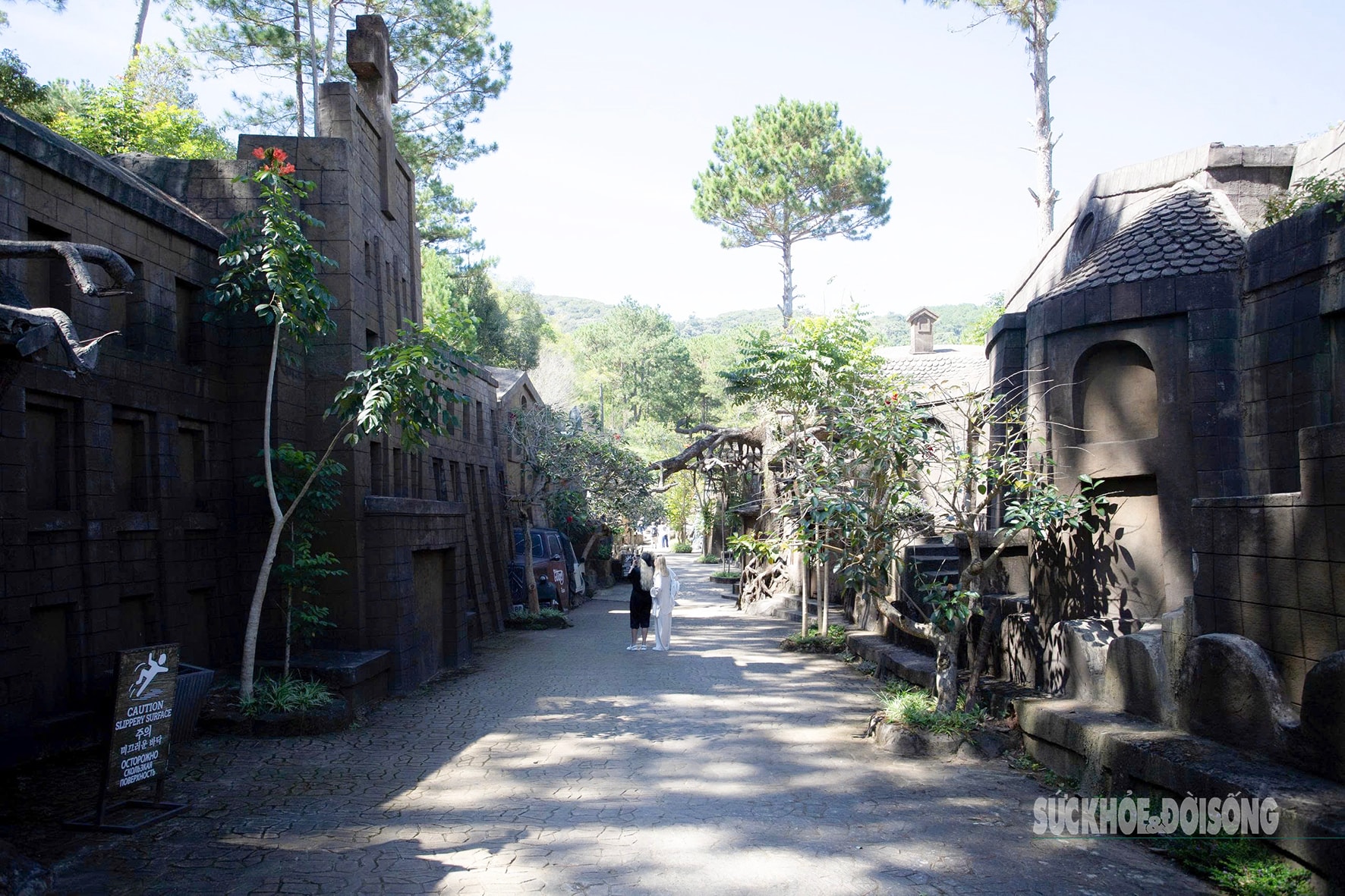 Du khách quốc tế khám phá 'bảo tàng ký ức' bằng đất giữa rừng thông- Ảnh 1.