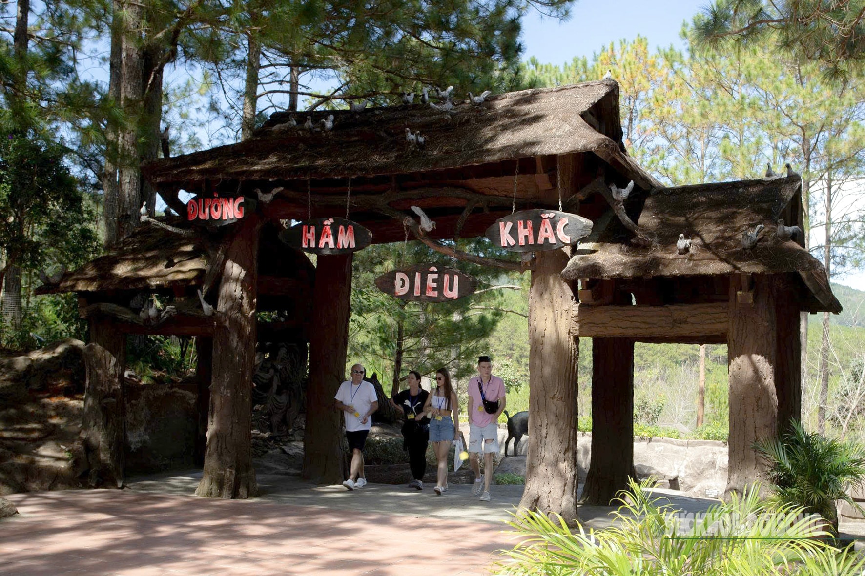 Du khách quốc tế khám phá 'bảo tàng ký ức' bằng đất giữa rừng thông- Ảnh 9.