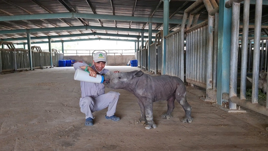 Dấu ấn trên hành trình 10 năm phát triển của Vinpearl Safari Phú Quốc - 4