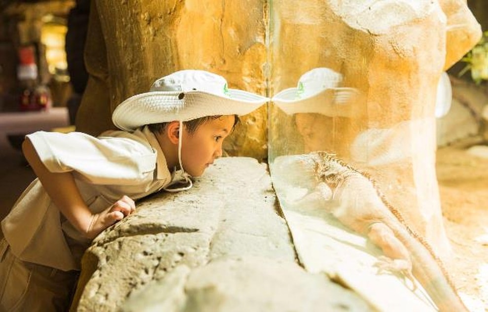 Dấu ấn trên hành trình 10 năm phát triển của Vinpearl Safari Phú Quốc - 9