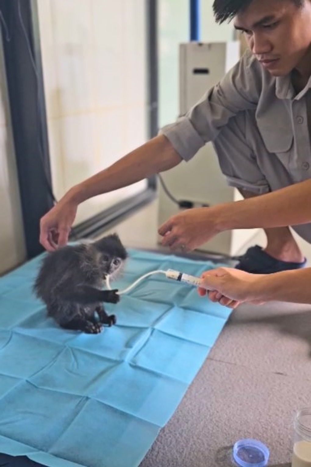 Dấu ấn trên hành trình 10 năm phát triển của Vinpearl Safari Phú Quốc - 5