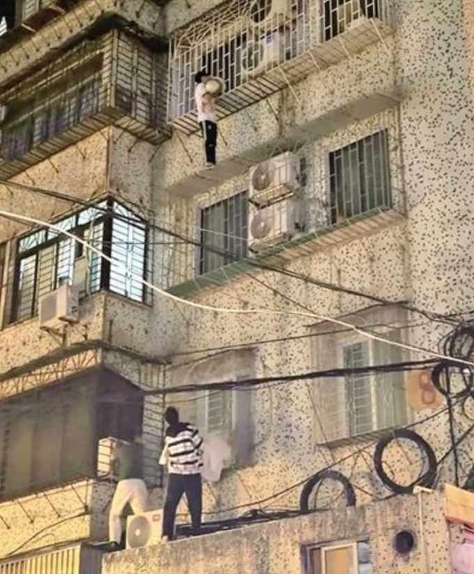 ba thanh niên leo tường rào cứu bé trai bị kẹt đầu ở song sắt tầng bốn, treo lơ lửng tại một chung cư ở quận Thiên Hà, Quảng Châu, tối 24/12. Ảnh: Jimu News