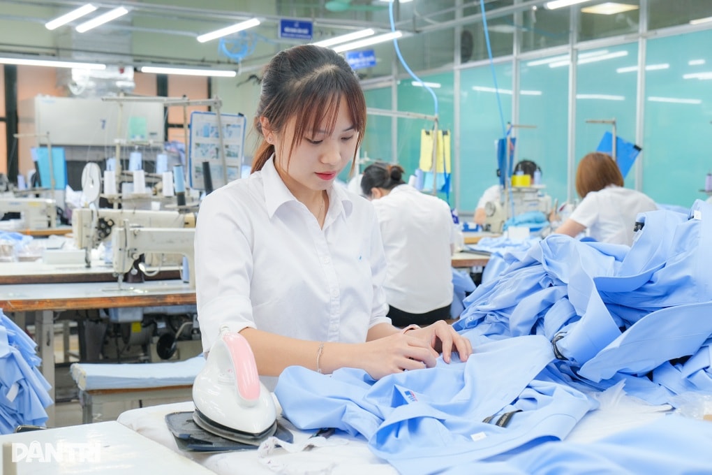 Thu nhập bình quân của người lao động đạt 8,31 triệu đồng/tháng - 1