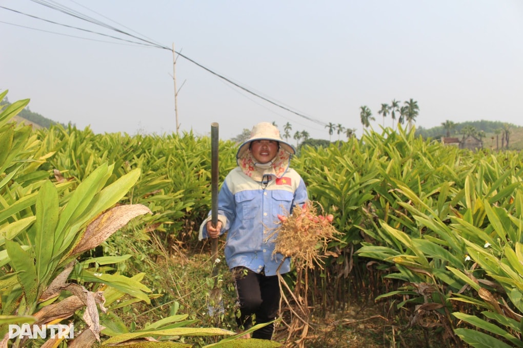 Chìa khóa giúp hàng trăm lao động nâng cao thu nhập - 3