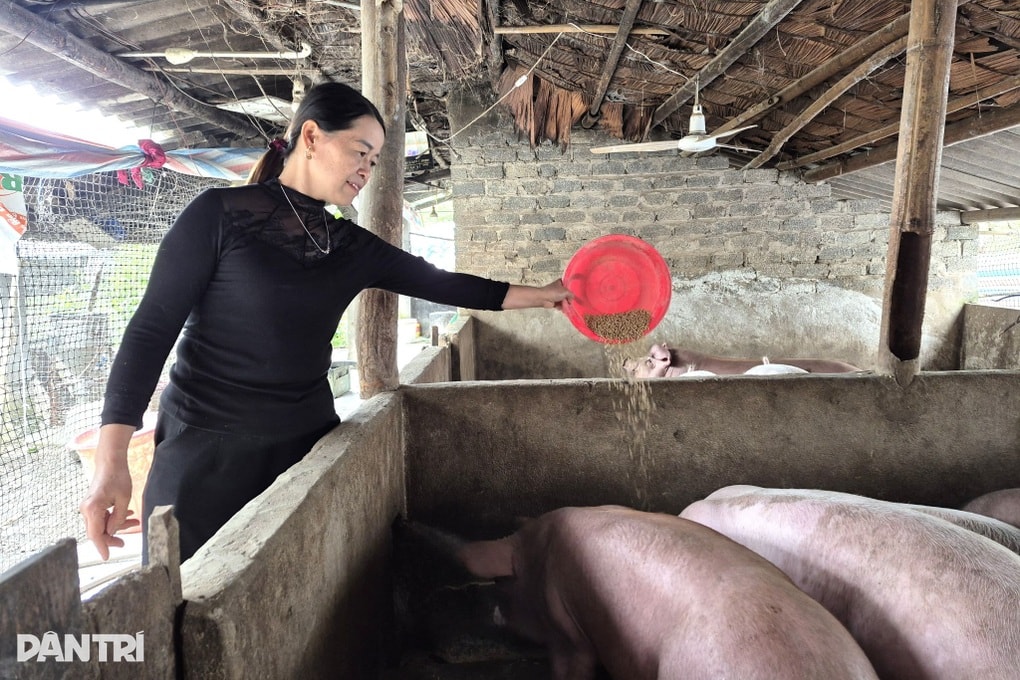 Nhiều phụ nữ làm giàu từ sinh kế kép - 1