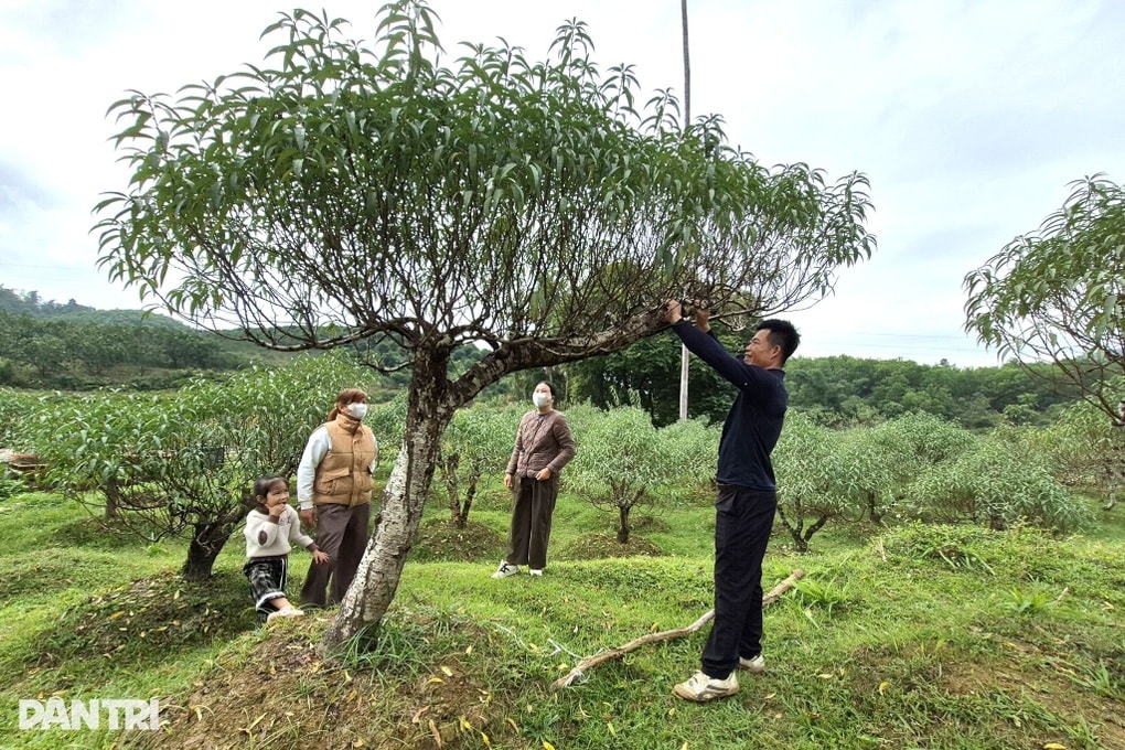 Nhiều phụ nữ làm giàu từ sinh kế kép - 3