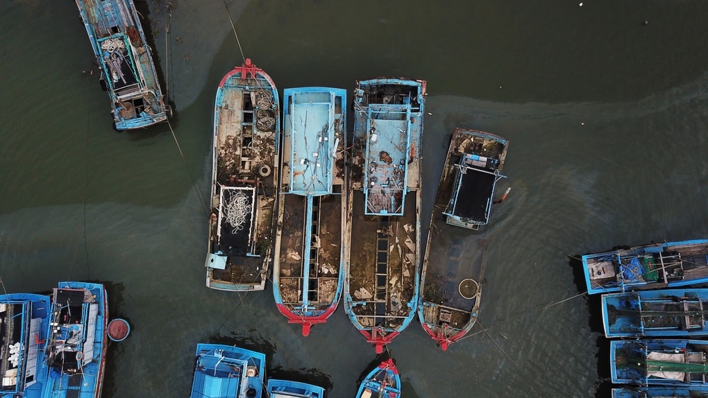 Chi hàng chục tỷ đồng hỗ trợ các tàu cá không có nhu cầu hoạt động - 1