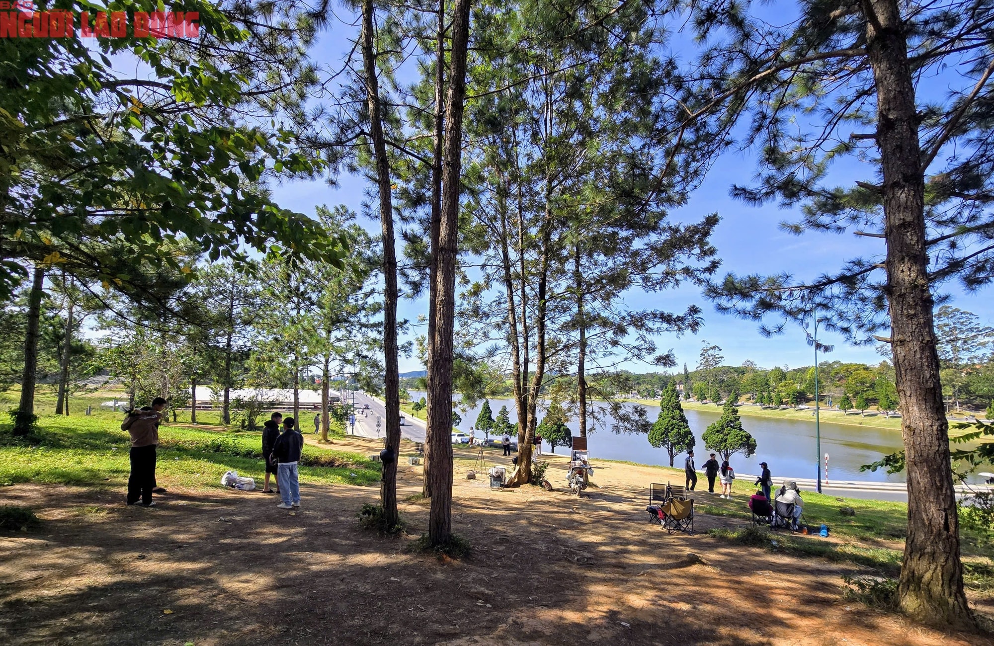 Con dốc có view siêu đẹp ở Đà Lạt, mỗi ngày thu hút hàng trăm du khách đến check-in - Ảnh 1.