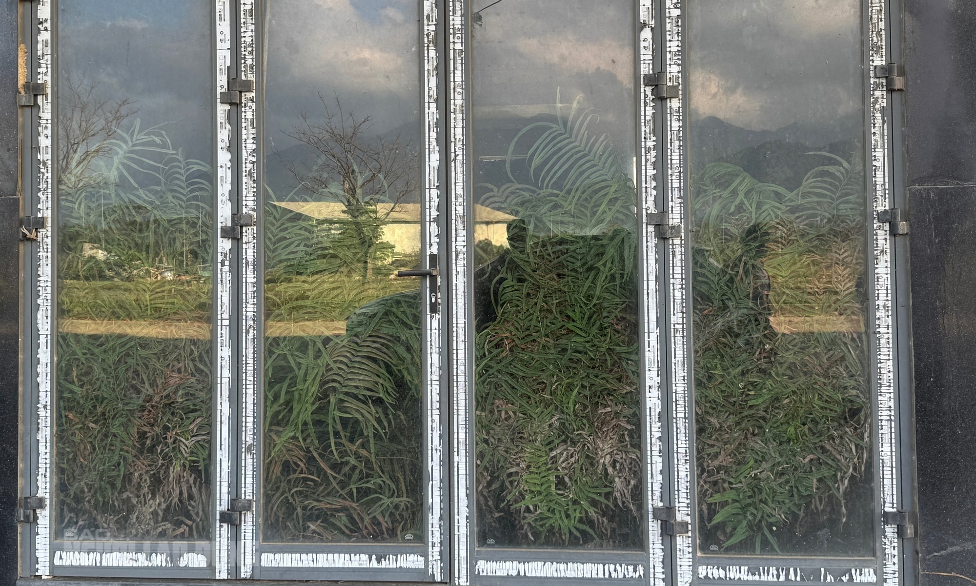 Cảnh hoang hóa ở khu đô thị sinh thái ngàn tỉ Golden Hills City Đà Nẵng sau 2 lần thanh tra - Ảnh 1.