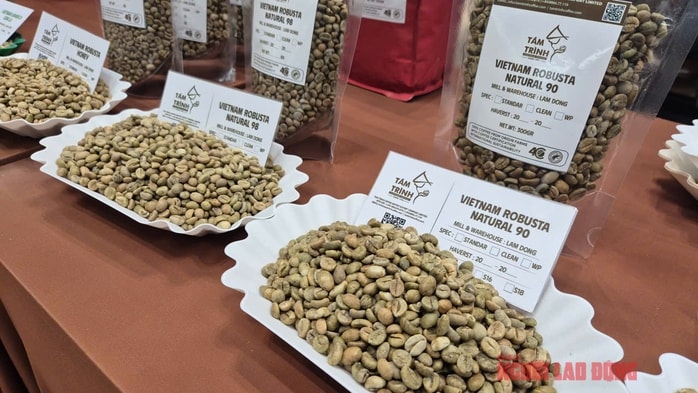 Giá cà phê hôm nay 30-12: Tiếp đà tăng, cà phê Indonesia gặp lũ lụt - Ảnh 1.